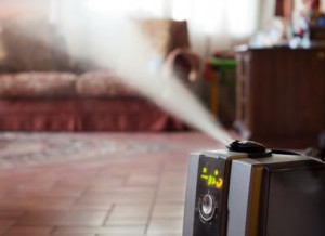 nothern anne arundel humidifer installations